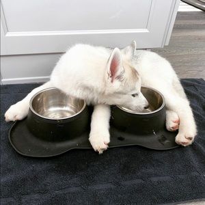 Meet your Posher, Anjali